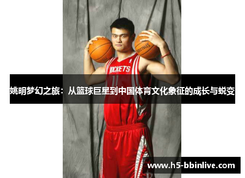 姚明梦幻之旅：从篮球巨星到中国体育文化象征的成长与蜕变
