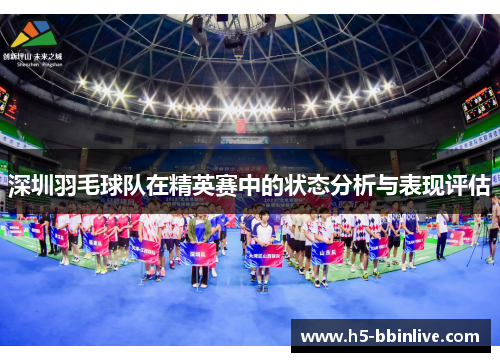 深圳羽毛球队在精英赛中的状态分析与表现评估