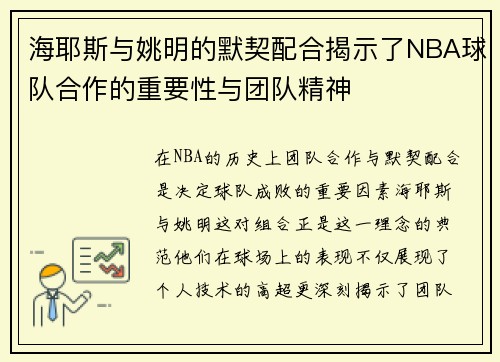 海耶斯与姚明的默契配合揭示了NBA球队合作的重要性与团队精神